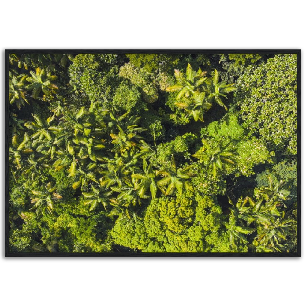 Hawaii Tropical Rainforest Aerial View: Stunning Palms and Lush Greenery Wall Art -Museum-Quality Matte Paper Wooden Framed Poster