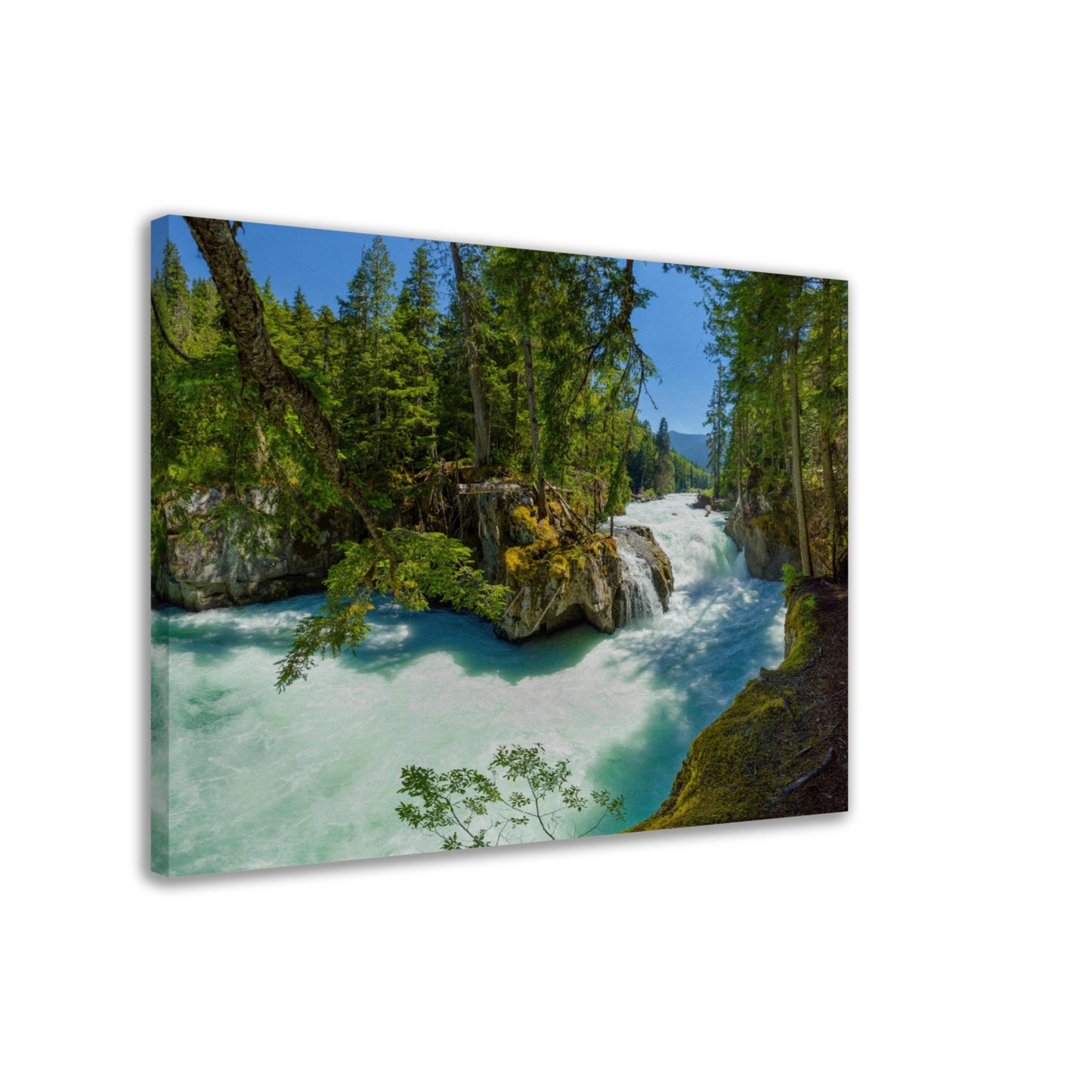 Cheakamus River Waterfall - Whistler - Canadian Wilderness Canvas Print, British Columbia, Canada