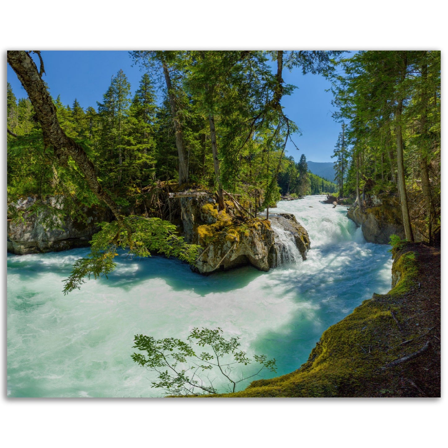 Cheakamus River Waterfall - Whistler, BC - Canadian Wilderness Aluminum / Metal Print