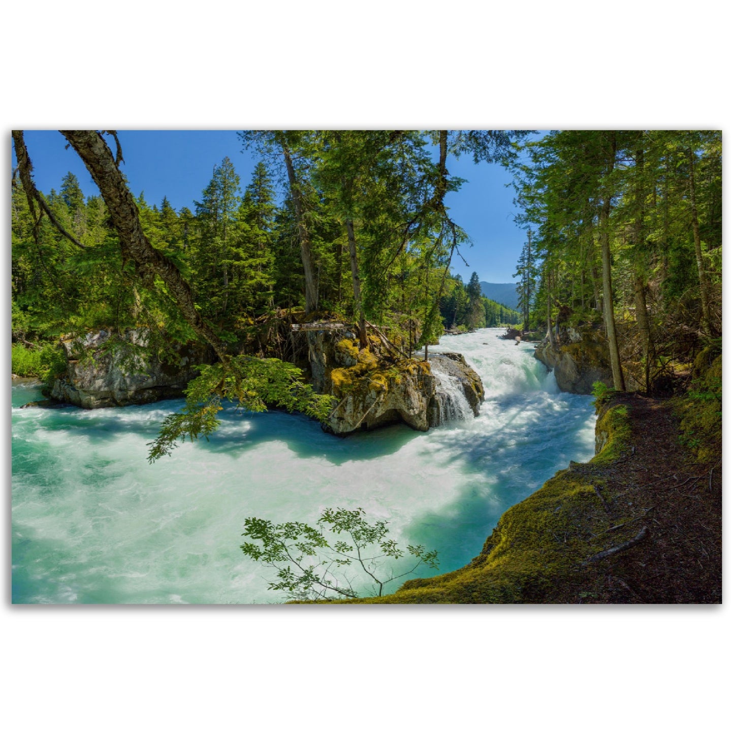 Cheakamus River Waterfall - Whistler, BC - Canadian Wilderness Aluminum / Metal Print